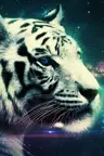 LeonHeart's Avatar