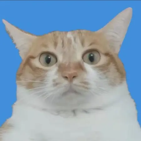 MYsfsfee's Avatar