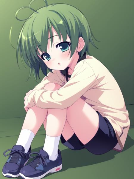 <lora:SakurazawaKeito:0.8>, SakurazawaKeito, solo, green hair, 1girl, short hair, ahoge, shorts, green eyes, full body, child, blue eyes, socks,
 masterpiece, high quality, very_high_resolution, large_filesize, full color,