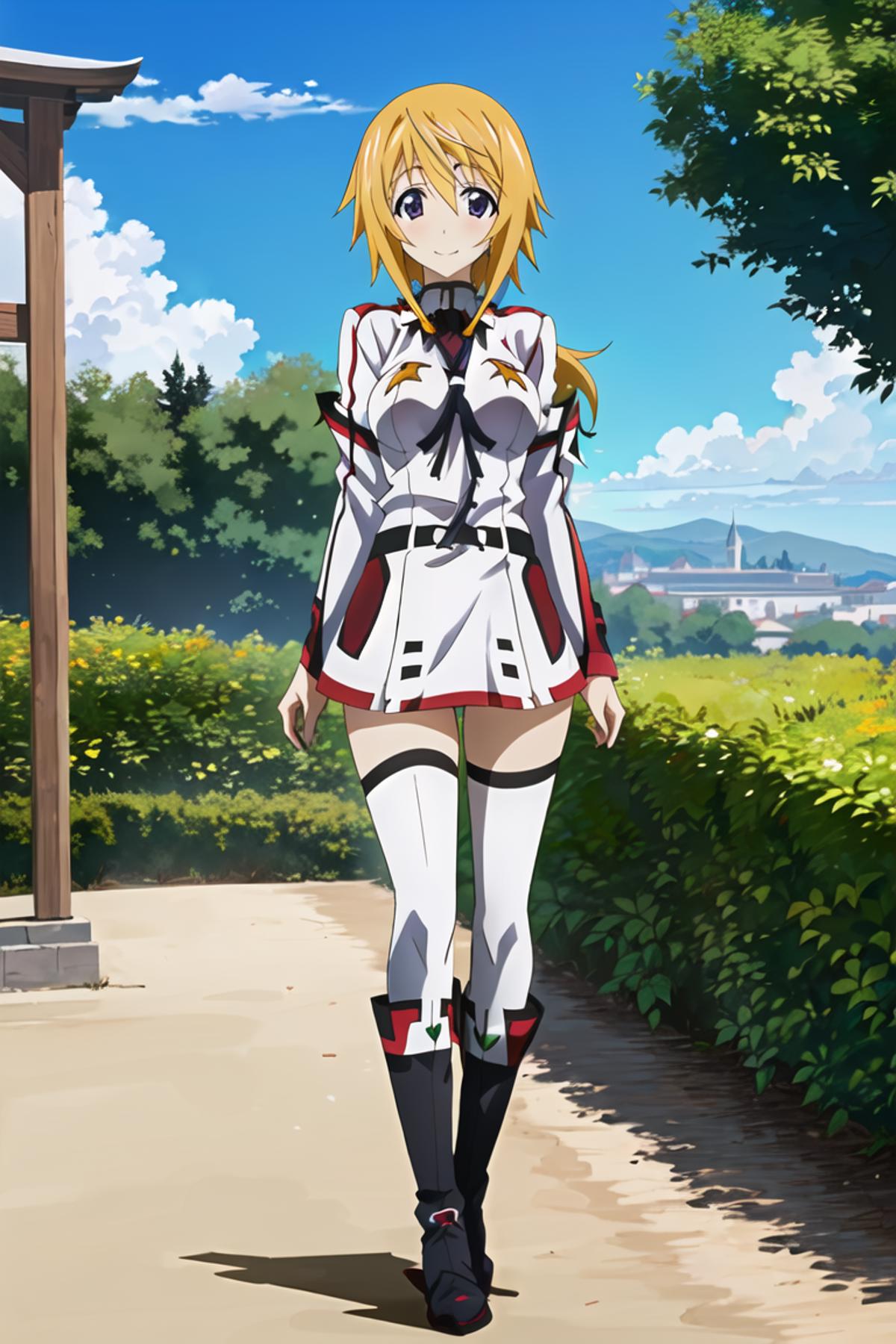 Infinite Stratos Review — D