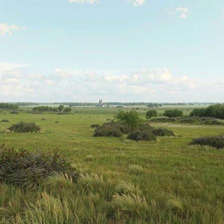 8k, source_photo, source_real, traditional media, amateur, real life photo, grassland plains, clumps of woodland, medieval, dungeons and dragons, highly detailed, photo-realistic, open plains