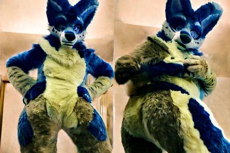 Fursuit cosplay big titty and big ass