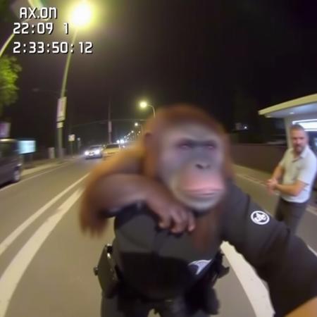 POV police body cam footage, timestamp in left corner in small white pixelated text "AXON 2012-12-13 23:58:12", patches of severe video artificing, an orangutan attacking, light film grain, slight video distortion, slight fish eye Lense effect,