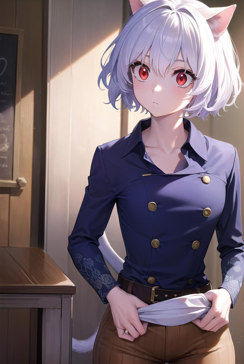 neferpitou-2551877520.png