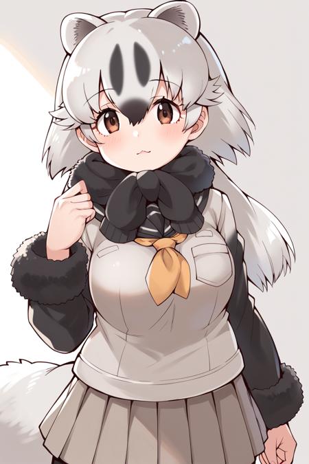 ニホンアナグマ V1