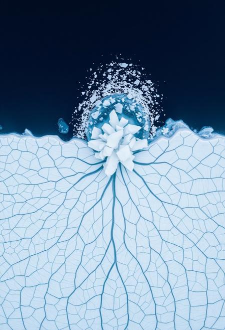 This striking aerial perspective captures a dynamic interplay between ice and water. The foreground is dominated by a textured expanse of what appears to be a glacial surface or a vast sheet of ice, characterized by intricate, almost woven patterns of blue lines and cracks against a white backdrop. These lines create a sense of depth and movement, suggesting the immense pressures and forces that shape these frozen landscapes. Above this icy foundation, a dramatic burst of fragmented ice and water erupts from the center, reminiscent of an explosion or a powerful gush. The darker blue background, likely deep water, provides a stark contrast, highlighting the bright, scattered pieces of ice that fan out from the central disturbance. The overall impression is one of raw natural power and the captivating beauty of polar environments. The image evokes feelings of both awe and the fragile grandeur of our planet's icy regions.