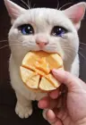 Ponyta_star's Avatar