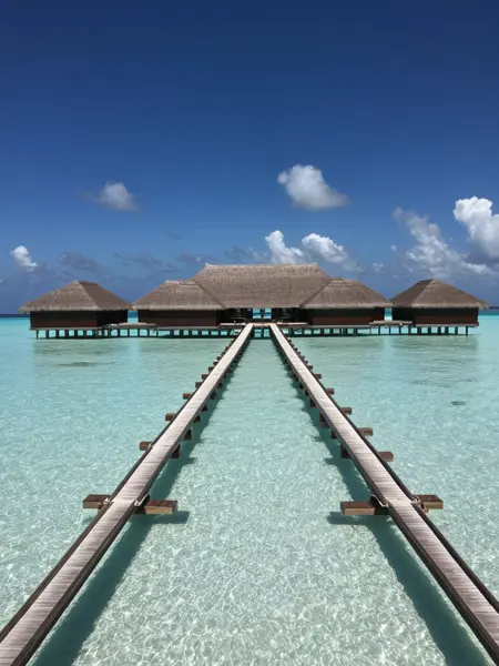 Symmetry