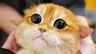 simartem07's Avatar