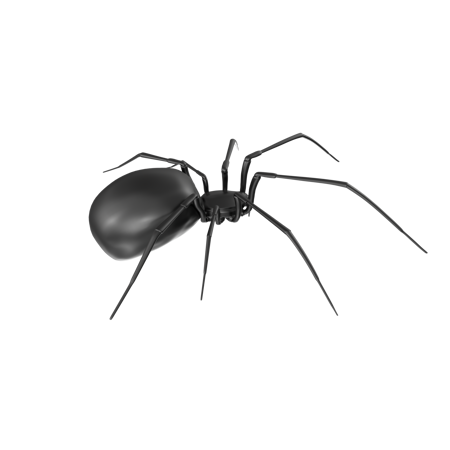 Spiders 2 V1