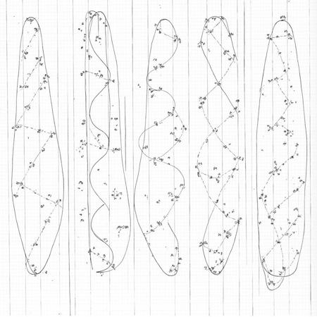 5 WALKA DIAGRAMS V1