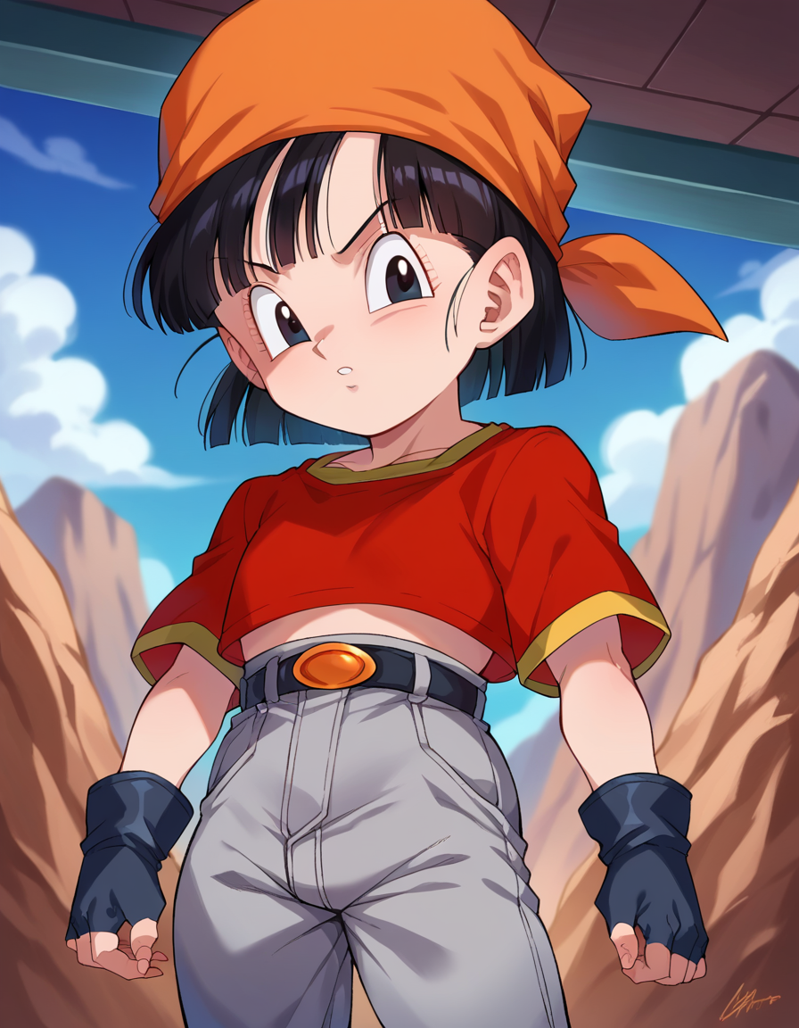 dragonballpan-7e608-3801117175.png