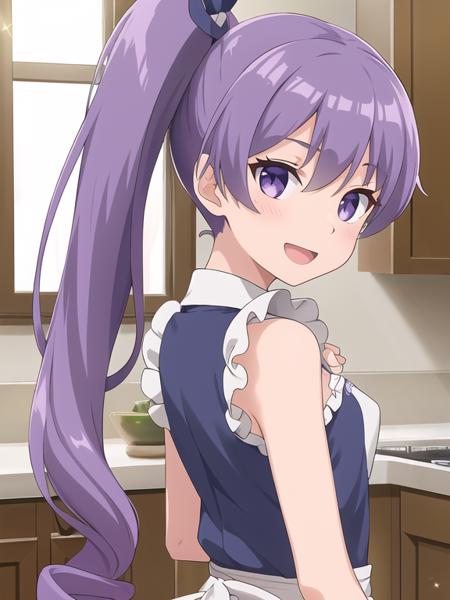 best quality, (masterpiece:1.2), highly detailed, (masterpiece), (illustration),
kitchen, indoor,
standing, (face focus:1.2), face, upper body, (from back:1.3),
nuke apron, sleeveless, frills, collarbone,
1girl, solo, long hair, purple hair, purple eyes, sparkle, lens flare, glint, eyebrows visible through hair, hair between eyes, small breasts, side ponytail,
shy, blush, (looking at viewer), smile, open mouth,
<lora:Rio:0.7>