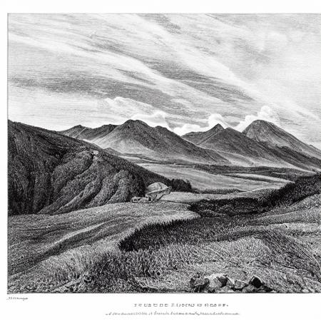 engraving black and white colour nature scenery