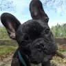ozzbik's Avatar