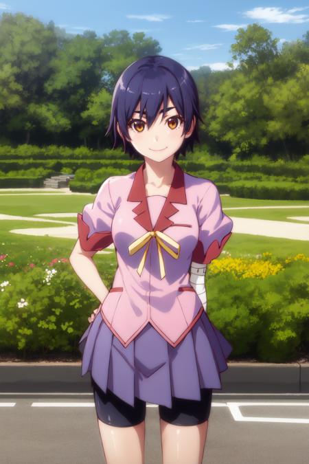 1girl, solo, looking at viewer,
bandages, bike shorts, naoetsu high school uniform, pink shirt,
kanbarusuruga, smile, short hair, medium breasts, brown eyes,
smile, cowboy shot,
garden, trees,
<lora:kanbaru-suruga-v1:0.9>