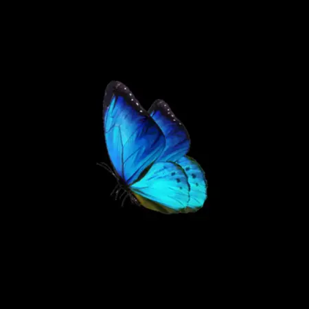 papilioluna's Avatar