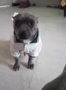 cacas654's Avatar