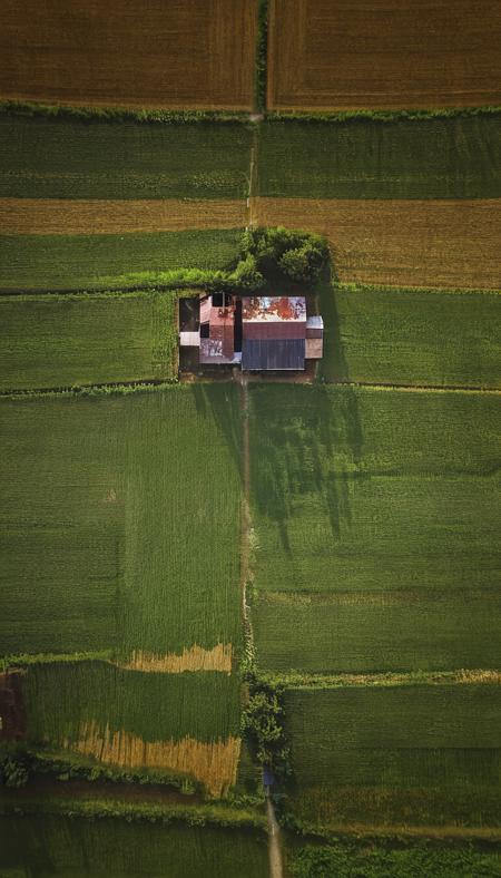 farm house <lora:DD-above-v1:1> above