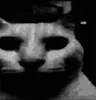 Aigurin's Avatar