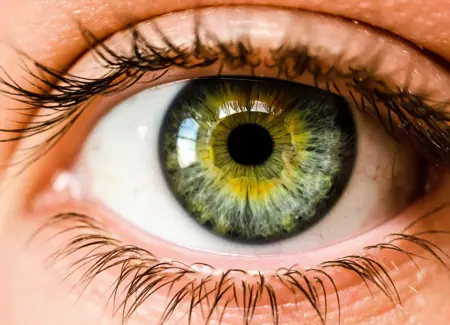EYE