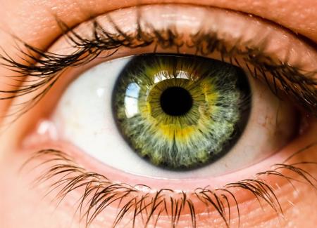 EYE v1.0