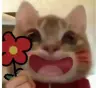 ReGanMian's Avatar