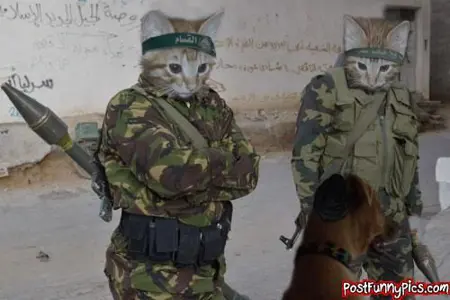 CCanisLupus's Avatar