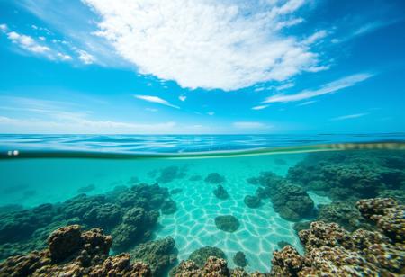 ultra HD, high quality, 4K, score_9, score_8_up, score_7_up, under the ocean, coral reefs, Ocean seascape calm waves with blue sky and clouds, light sand ripples water, vibrant blue, <lora:aidmaFluxStyleXL-v0.2:0.7>, 
 <lora:aidma-Image Upgrader-v0.1:0.351>, intricate detail, winning, sharp focus, original, flux-style