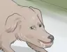 TheWeinerMeister's Avatar