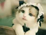 tobrut48's Avatar