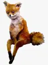 Shinkeidei's Avatar