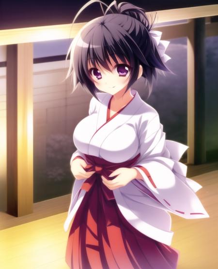 1girl, black hair, short hair, (tied hair:1.2), antenna hair, purple eyes, smile, happy, japanese miko uniform, slender, small breasts, light on eyes,<lora:yutsuki1:0.8>,