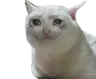 Takeyoo's Avatar