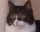 DaimySpapen's Avatar