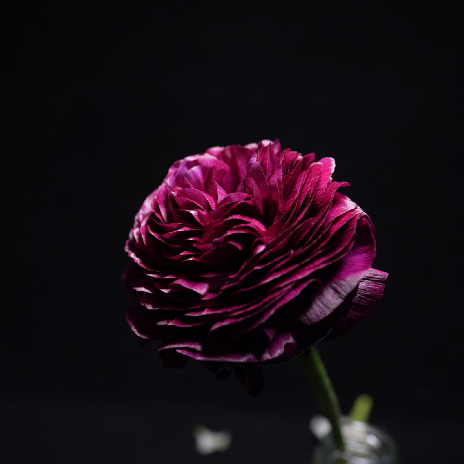 深度学习 生成器部分