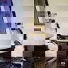argentulio