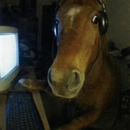 ZedCIVITAI's Avatar