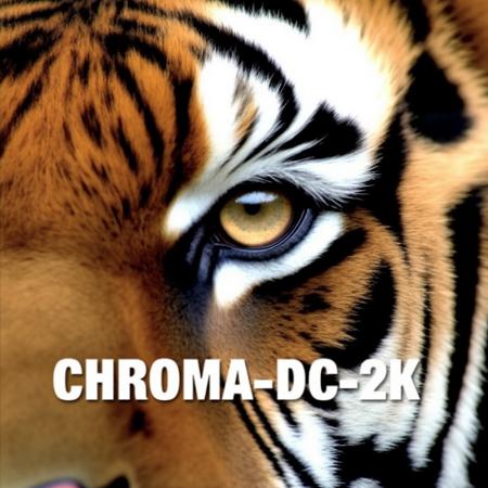 Chroma-Flash-Heun-pruned Rank 02