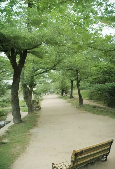 夙川 syukugawa / PONY