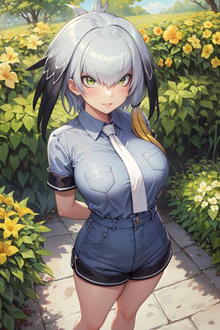 (masterpiece, best quality, ultra detailed), (detailed background, complex background:1.2), (perfect face, detailed face), full-face blush, (milf, mature female:1.4), happy, smile, parted lips, 
<lora:shoebill:1> shoebill, grey hair, sidelocks, hair between eyes, black hair, head wings, shirt, long hair, necktie, grey shirt, short sleeves, collared shirt, gloves, black gloves, fingerless gloves, shorts, white necktie, pocket, breast pocket
(outdoors, garden, standing, arms behind back)