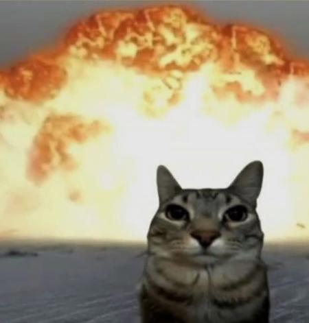 exploded_kitty's Avatar