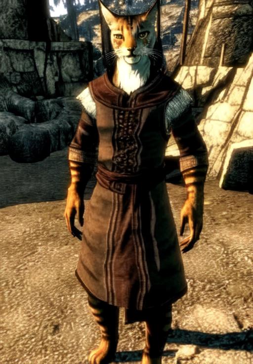 Khajiit - Skyrim (Character Style) image by AsaTyr