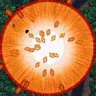 battle_bakraid's Avatar