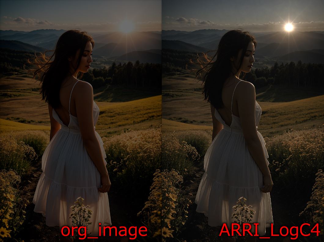 logC4.JPG