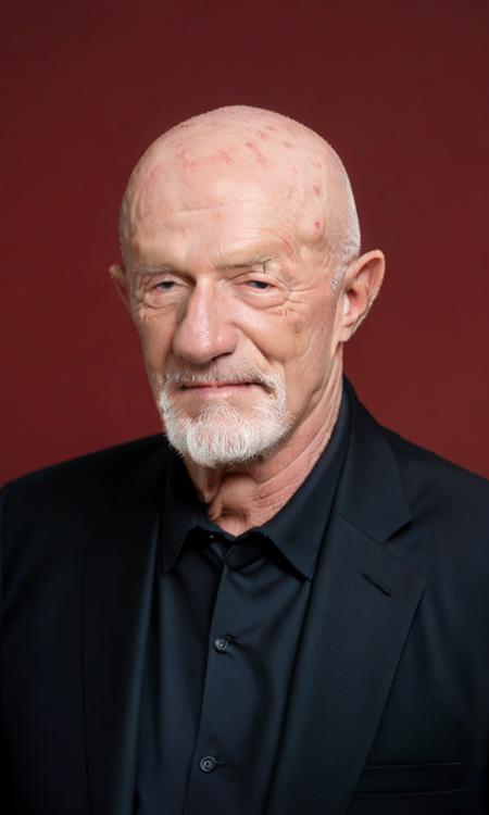 PonyXL-Jonathan banks(Mike Ehrmantraut) v1.0