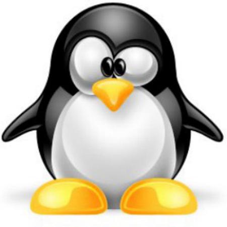 naughty_penguin's Avatar