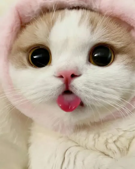 LuxxQueeni's Avatar