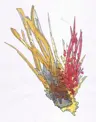 feralgeometry's Avatar