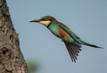 bird, animal focus, solo, blurry, outdoors, sky, flying, closed mouth, flying, depth of field, from side, feathers, looking to the side, tree, European bee-eater,